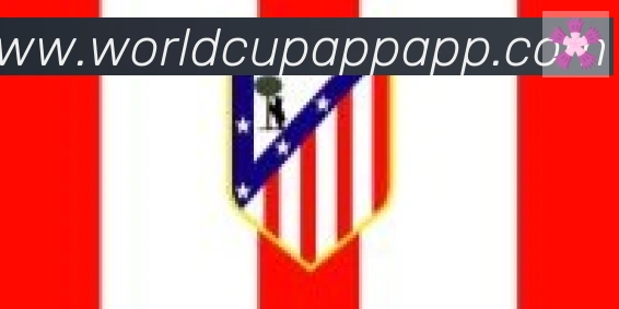 美加墨世界杯APP下载合作伙伴