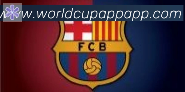 美加墨世界杯APP下载合作伙伴